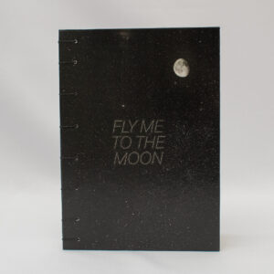 Fly me to the Moon
