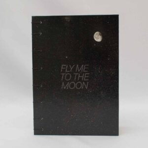 Fly me to the moon